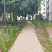 un nouveau parc pour le bourg à Génilac (42)