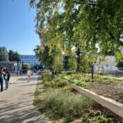 le groupe scolaire Albert Camus à Villefranche-sur-Saône (69)
